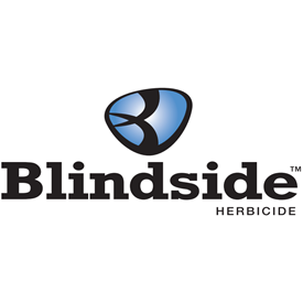 Blindside Logo