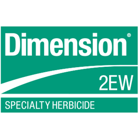 Dimension 2EW Logo