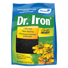 Dr. Iron Logo