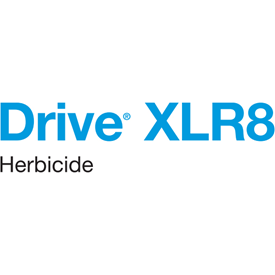 Drive XLR8 Logo