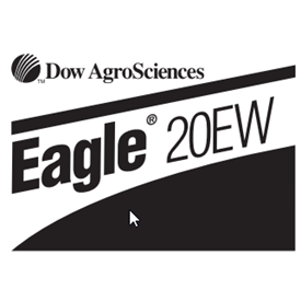 Eagle 20EW Logo