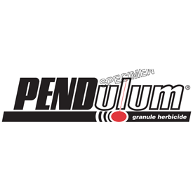 Pendulum 2G Logo