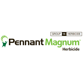 Pennant Magnum Logo