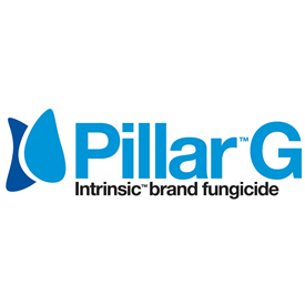Pillar G  Logo