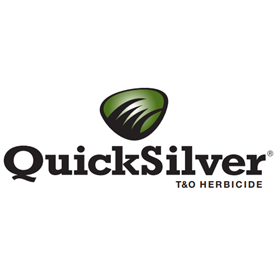 Quicksilver Logo