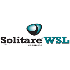 Solitare WSL Logo